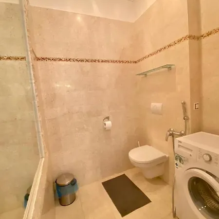 Purkynova Apartment